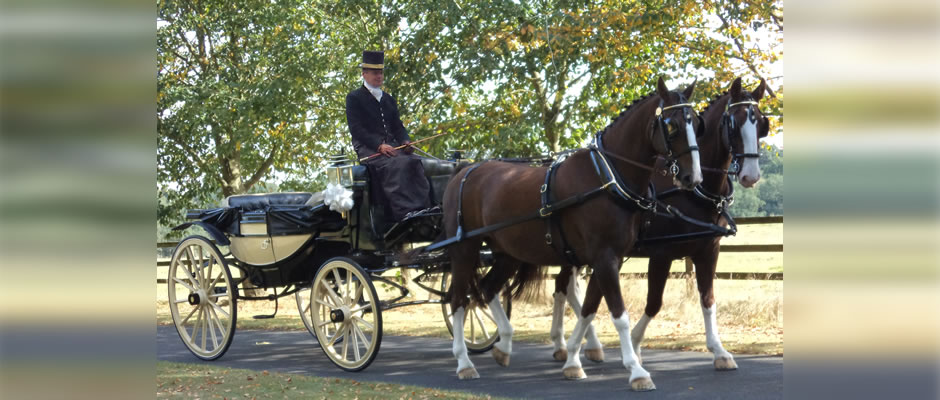 Haydn Webb Carriages horse drawn carriage in Berkshire