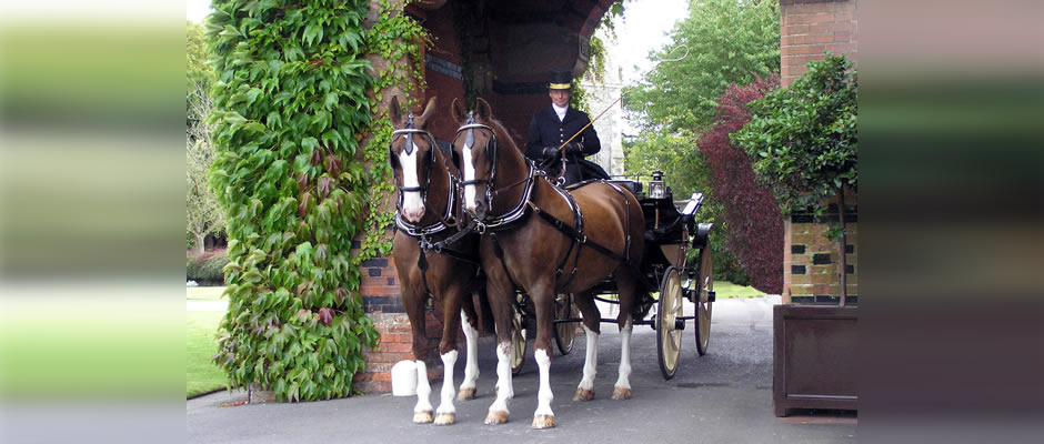 Haydn Webb Carriages horse drawn carriage travelling through porch