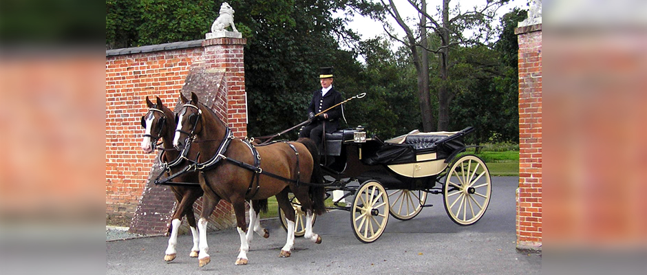 Haydn Webb Carriages walking horses carriage