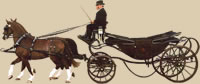 Haydn Webb Carriages logo